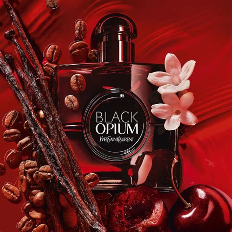 black opium ysl persistenza|ysl black opium release date.